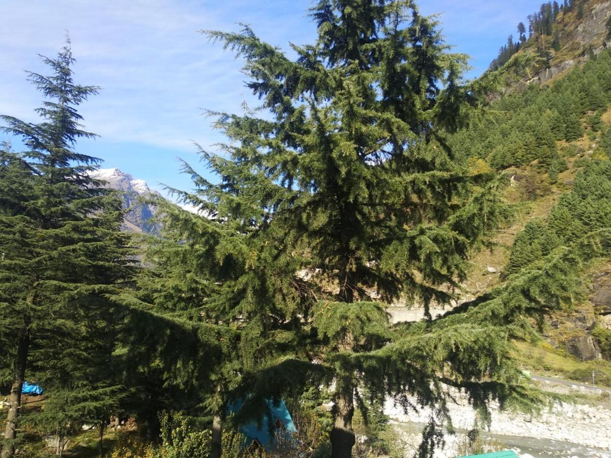 Nehru Kund Heights By Jitainn Manali  Luaran gambar